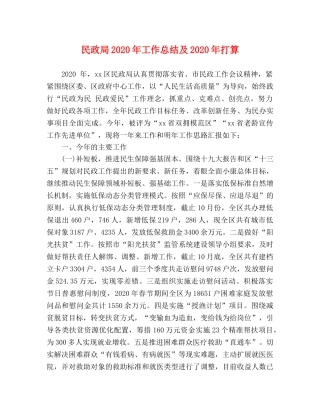 民政局2020年工作总结及2020年打算 