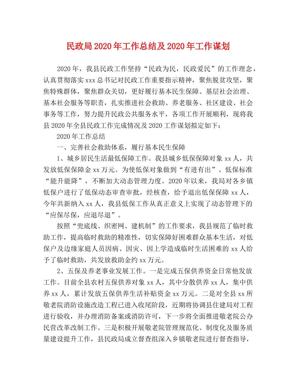 民政局2020年工作总结及2020年工作谋划 _第1页
