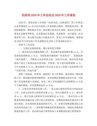 民政局2020年工作总结及2020年工作谋划 
