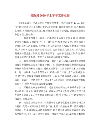民政局2020年上半年工作总结 