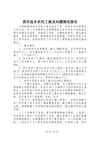 我市返乡农民工就业问题情况报告