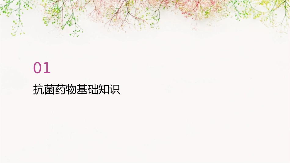 抗菌药物不良反应摘要护理课件_第3页