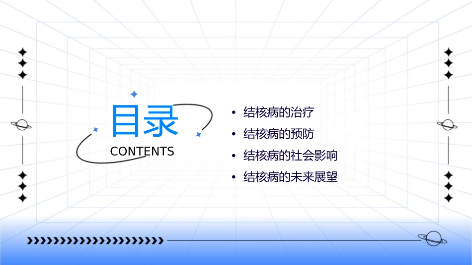 精品课结核总论课件_第2页