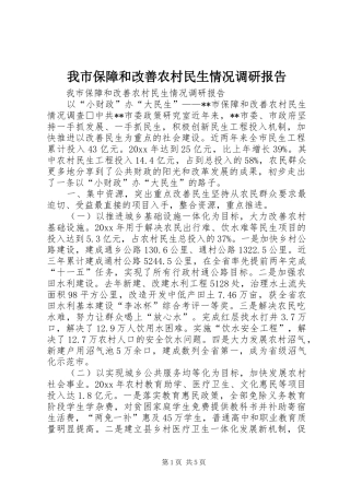 我市保障和改善农村民生情况调研报告