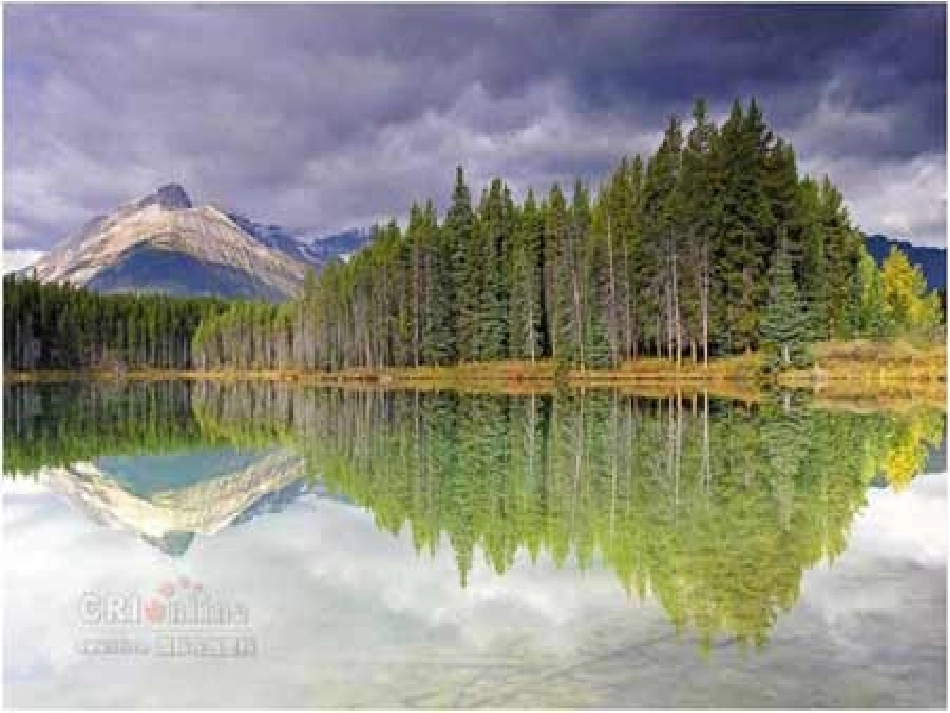 二年级上册《镜面对称》(1)_第2页