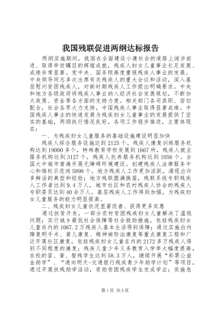 我国残联促进两纲达标报告