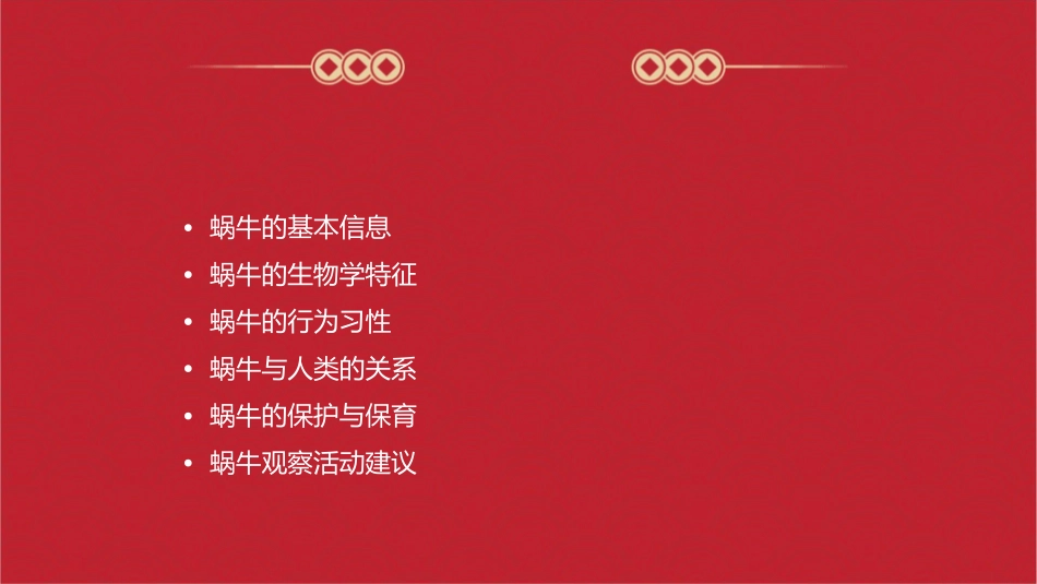 蜗牛的观察活课件_第2页