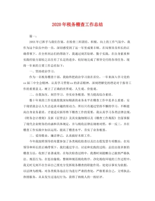 2020年税务稽查工作总结 