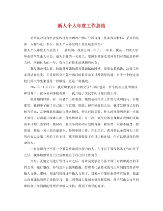 新人个人年度工作总结 