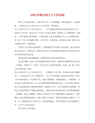 2020年统计局个人工作总结 