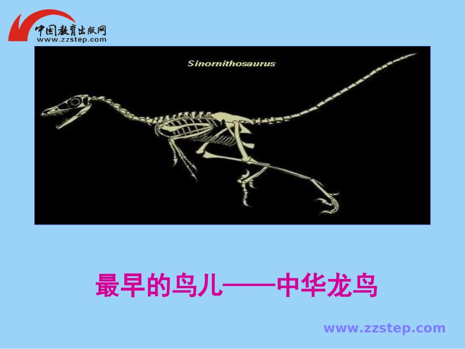 语文七年级上人教新课标21《化石吟》课件_第3页