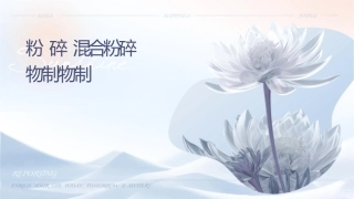 粉碎过筛混合粉碎药物制剂药物制剂护理课件