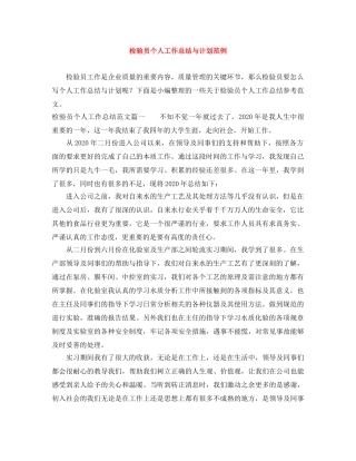 检验员个人工作总结与计划范例 