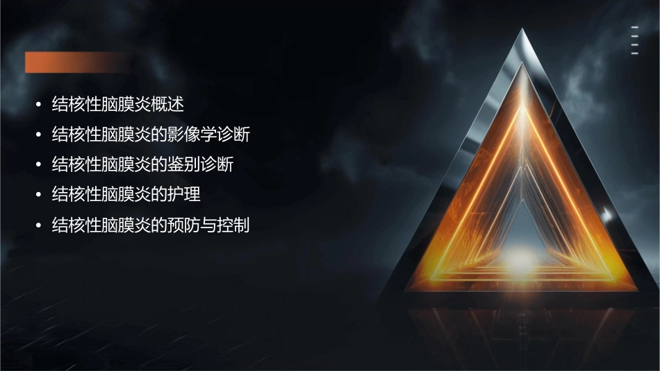 结核性脑膜炎的影像诊断与鉴别诊断护理课件_第2页