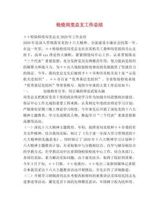 检疫局党总支工作总结 