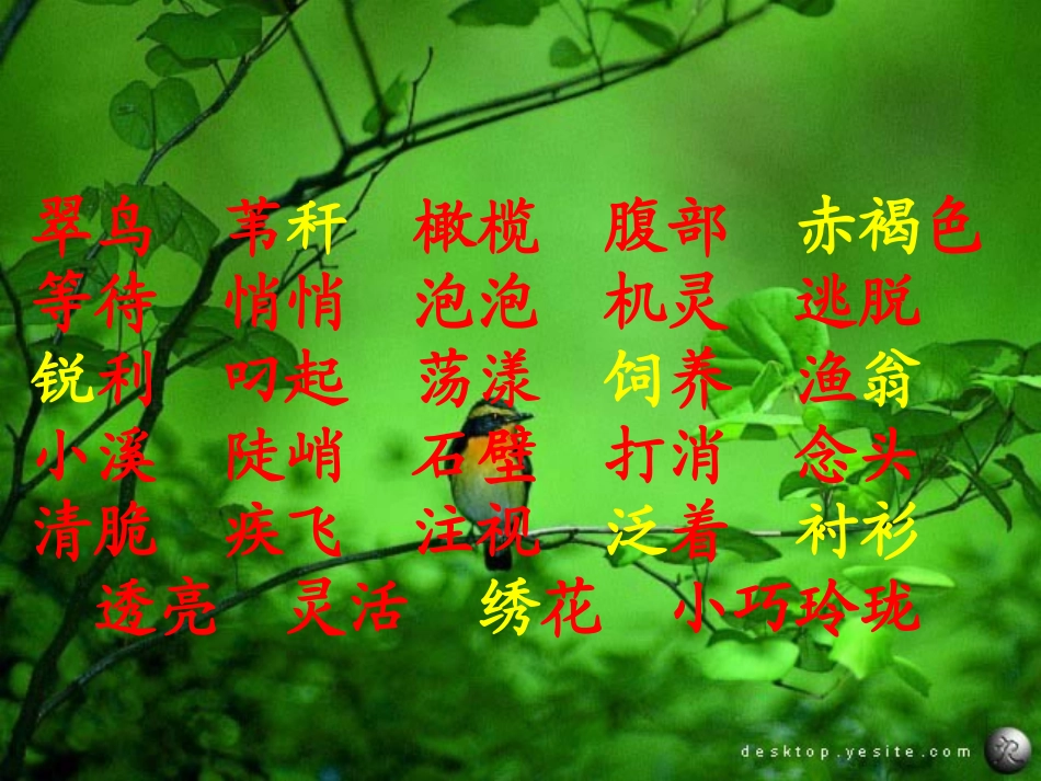 _5《翠鸟》课件[1]_第2页