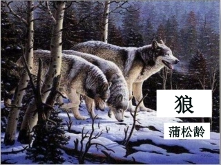 蒲松龄《狼》(复习课)