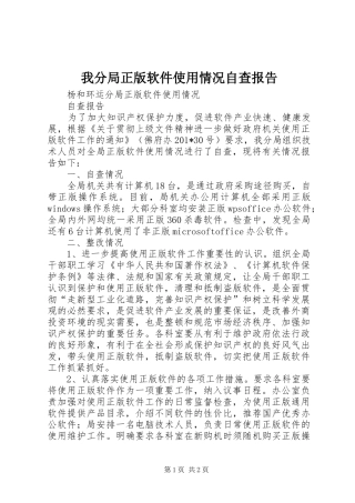 我分局正版软件使用情况自查报告