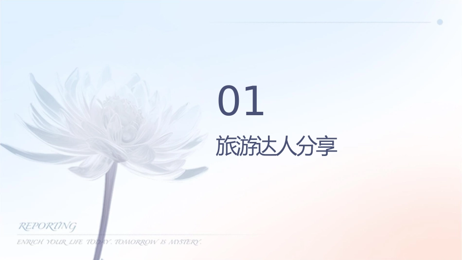 旅游达人攻略分享_第3页