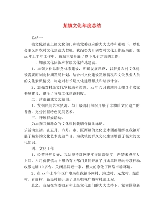 某镇文化年度总结 