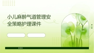 小儿麻醉气道管理安全策略护理课件
