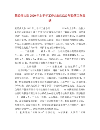 某经侦大队2020年上半年工作总结-2020年经侦工作总结 