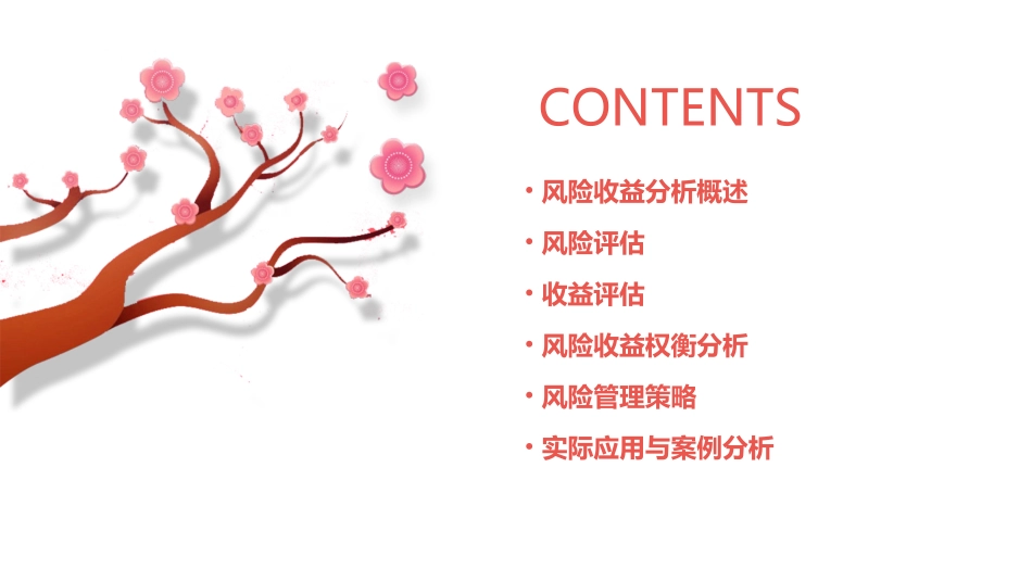 风险收益分析课件_第2页