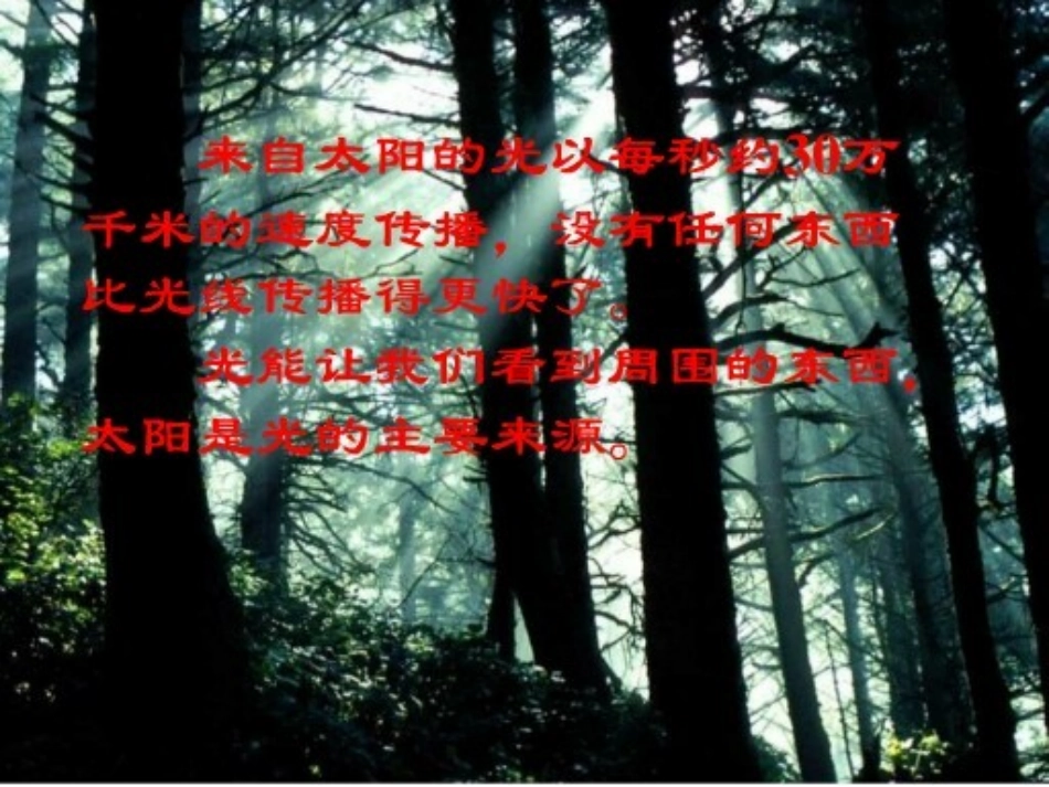 (教科版)五年级科学上册课件_阳光下的影子_第2页