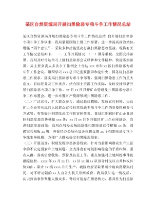 某区自然资源局开展扫黑除恶专项斗争工作情况总结 