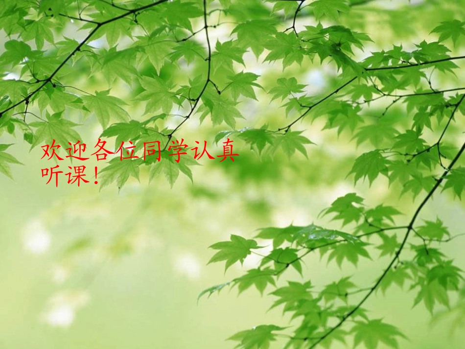 实际问题与一元一次方程探究3电话计费（sy）_第1页