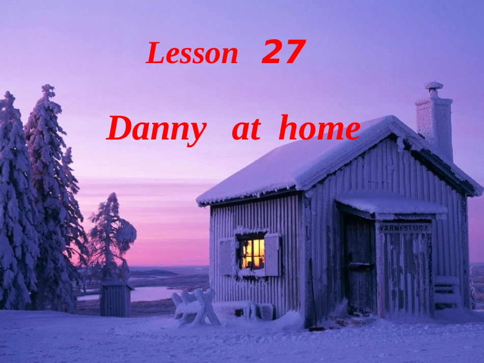 七上L27Dannyathome_第1页