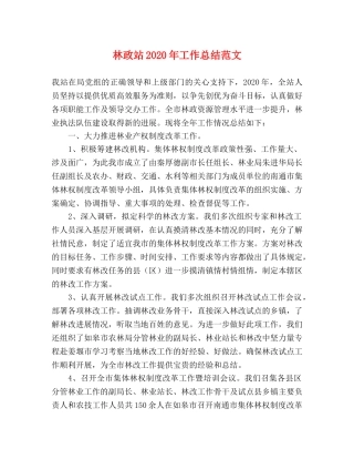 林政站2020年工作总结范文 