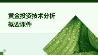 黄金投资技术分析概要课件