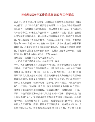 林业局2020年工作总结及2020年工作要点 