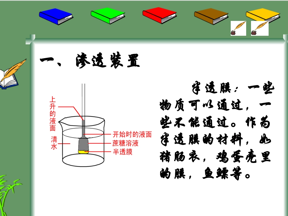 物质跨膜运输的实例_第2页