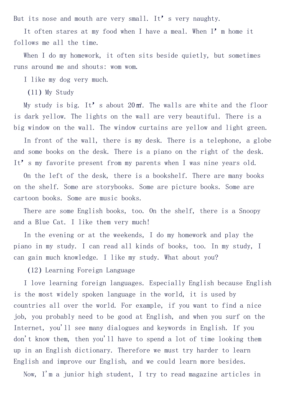 必读必背小学英语作文20篇范文_第3页