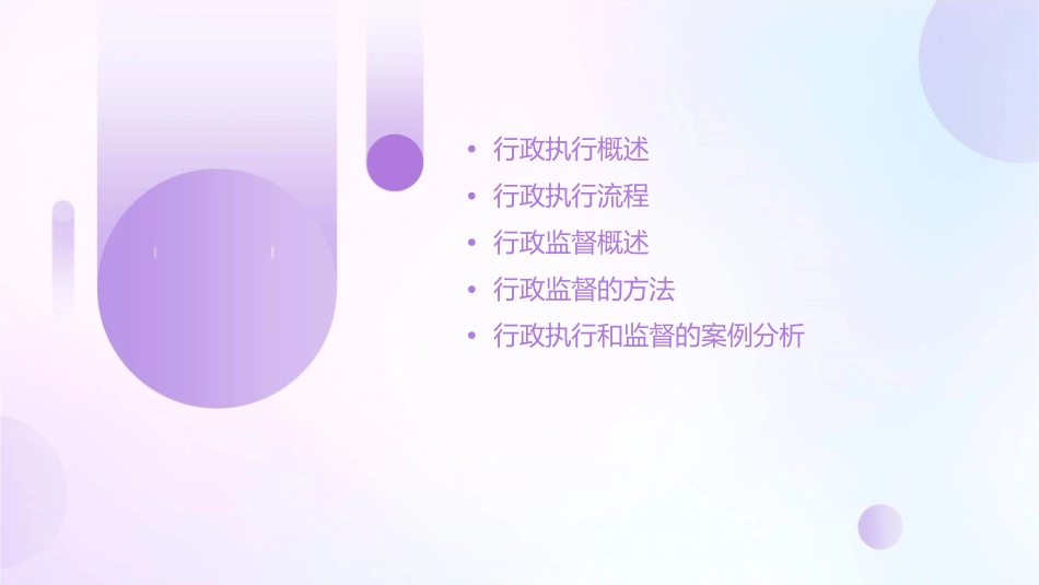 行政执行和监督课件_第2页