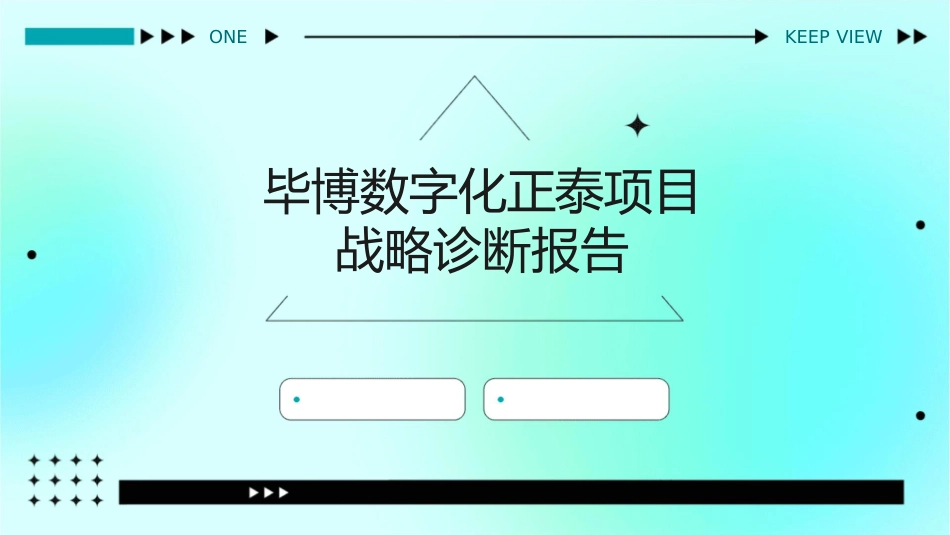 毕博数字化正泰项目战略诊断报告_第1页