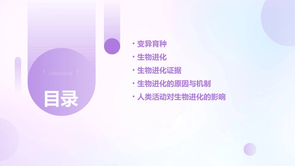 高中生物变异育种与进化课件_第2页