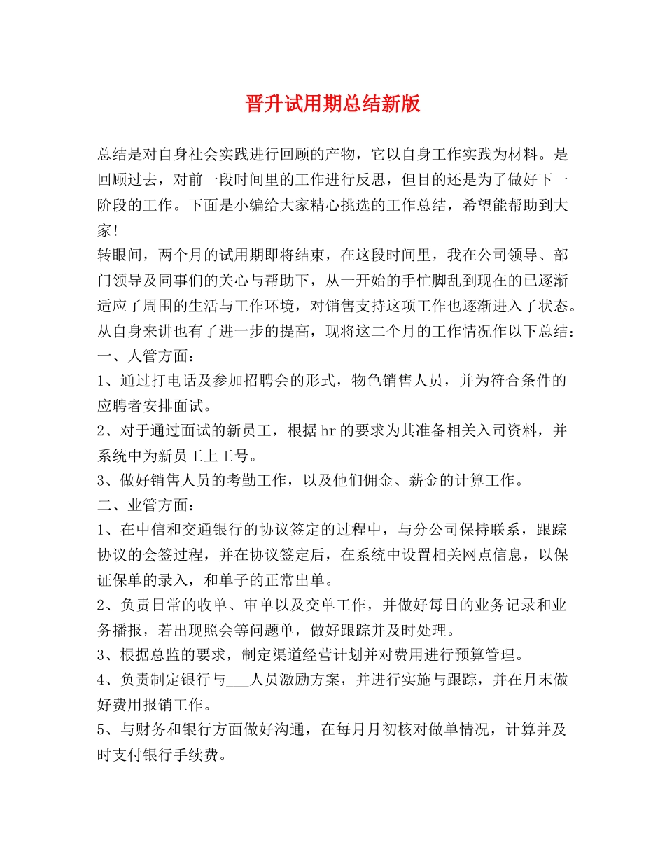 晋升试用期总结新版 _第1页