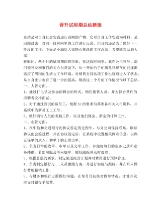晋升试用期总结新版 