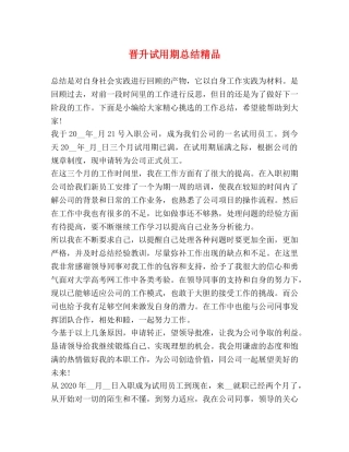 晋升试用期总结精品 