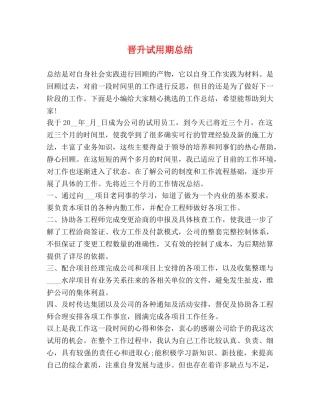 晋升试用期总结 