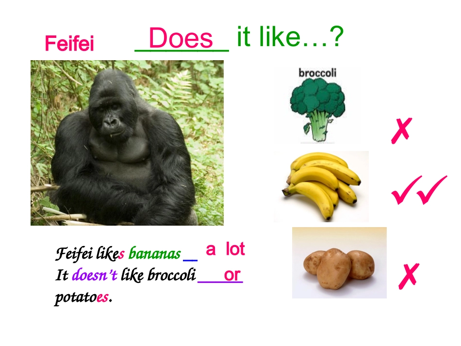 七年级英语上册Unit6Doyoulikebananas？SectionBPeriod1课件人教版_第2页