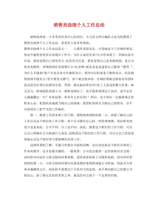 销售员助理个人工作总结 