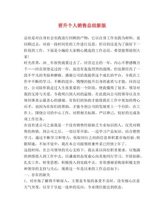 晋升个人销售总结新版 