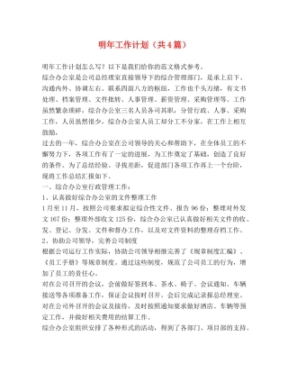 明年工作计划（共4篇） 