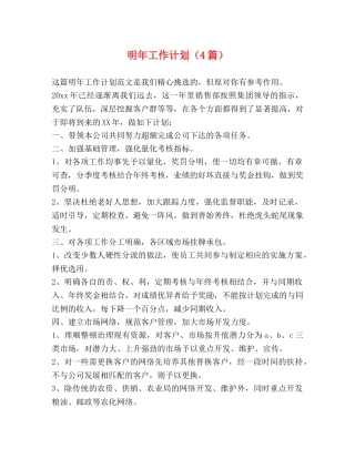 明年工作计划（4篇） 
