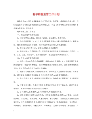 明年销售主管工作计划 