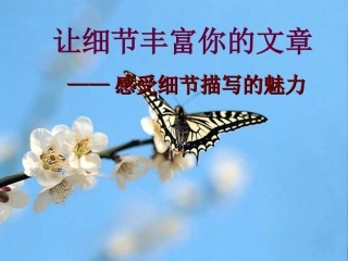 细节描写课件